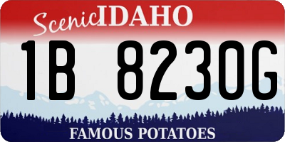 ID license plate 1B8230G