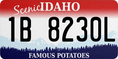 ID license plate 1B8230L