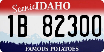 ID license plate 1B8230O