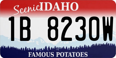 ID license plate 1B8230W