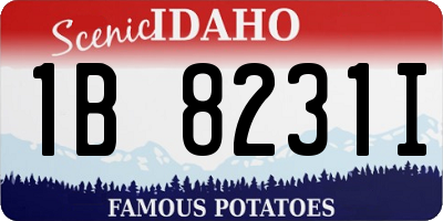 ID license plate 1B8231I