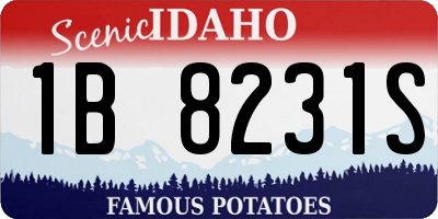 ID license plate 1B8231S