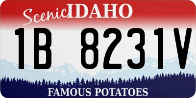 ID license plate 1B8231V