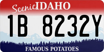 ID license plate 1B8232Y