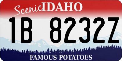 ID license plate 1B8232Z