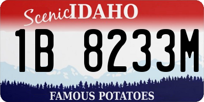 ID license plate 1B8233M