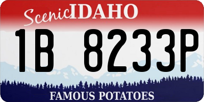 ID license plate 1B8233P