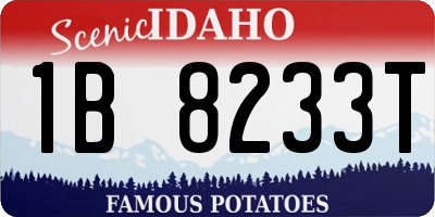 ID license plate 1B8233T