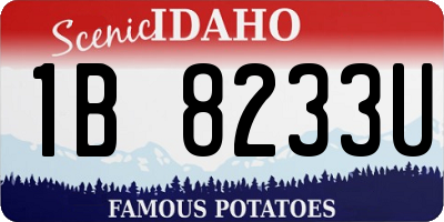 ID license plate 1B8233U