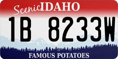 ID license plate 1B8233W