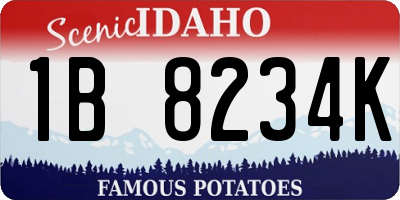 ID license plate 1B8234K