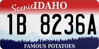 ID license plate 1B8236A