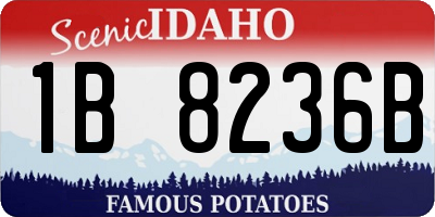 ID license plate 1B8236B