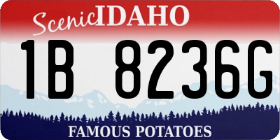 ID license plate 1B8236G