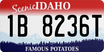 ID license plate 1B8236T