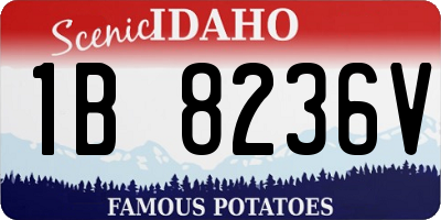 ID license plate 1B8236V