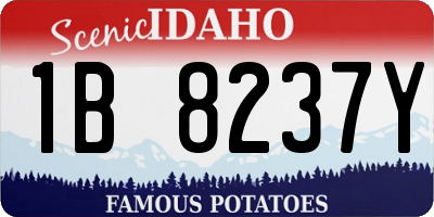 ID license plate 1B8237Y