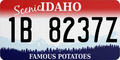 ID license plate 1B8237Z