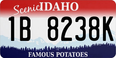 ID license plate 1B8238K