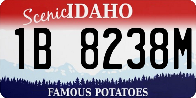 ID license plate 1B8238M