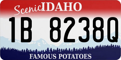 ID license plate 1B8238Q