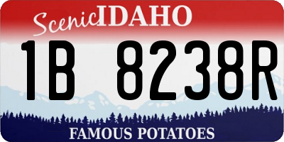 ID license plate 1B8238R