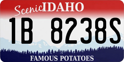 ID license plate 1B8238S