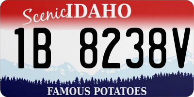 ID license plate 1B8238V
