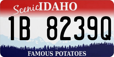 ID license plate 1B8239Q