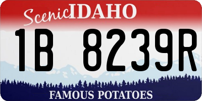 ID license plate 1B8239R