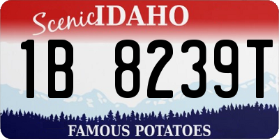ID license plate 1B8239T