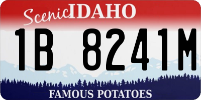 ID license plate 1B8241M