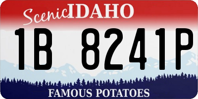ID license plate 1B8241P