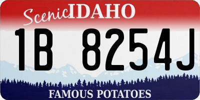 ID license plate 1B8254J