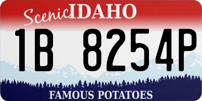 ID license plate 1B8254P