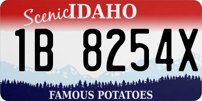 ID license plate 1B8254X