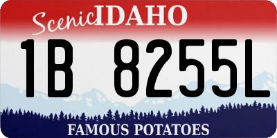 ID license plate 1B8255L