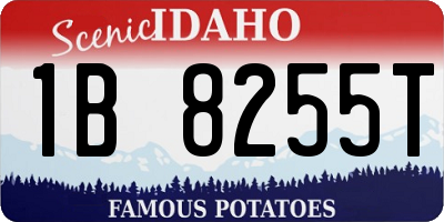 ID license plate 1B8255T