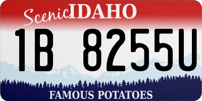 ID license plate 1B8255U