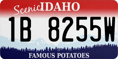 ID license plate 1B8255W