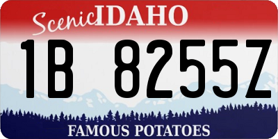 ID license plate 1B8255Z