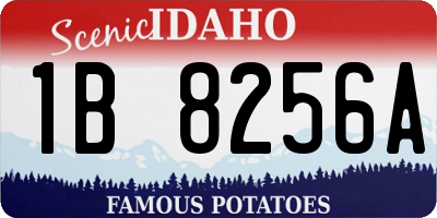 ID license plate 1B8256A