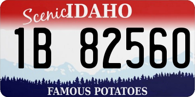 ID license plate 1B8256O