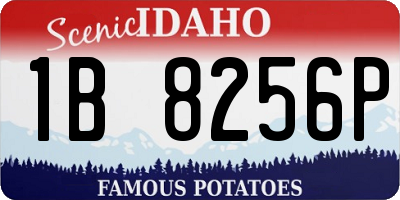 ID license plate 1B8256P