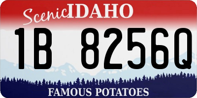 ID license plate 1B8256Q
