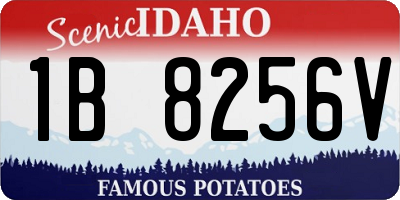ID license plate 1B8256V