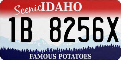 ID license plate 1B8256X