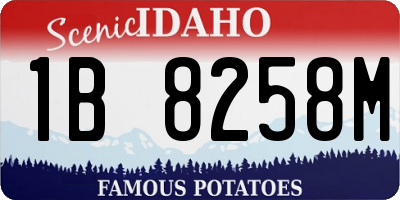 ID license plate 1B8258M
