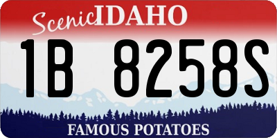 ID license plate 1B8258S