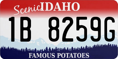 ID license plate 1B8259G